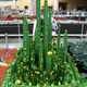 Illustration for article titled Huge Lego Wizard of Oz Build Includes a Motorized Tornado